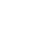 Review_White