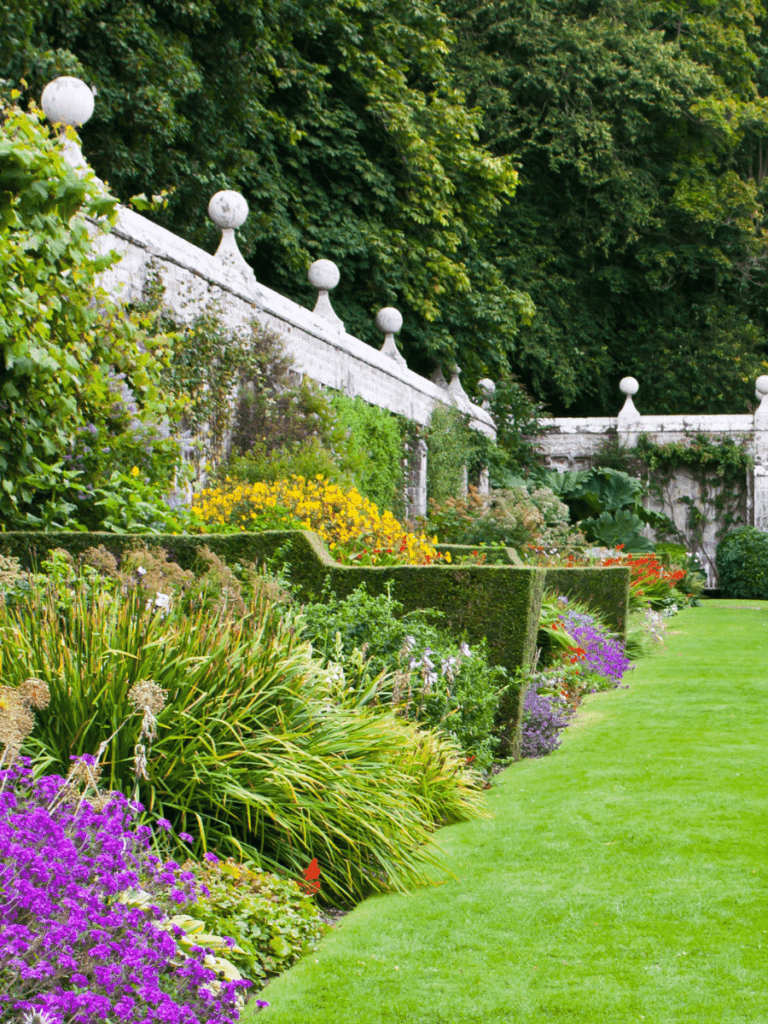 Photo of landscaped yard/garden with high white fence, lush green grass. 