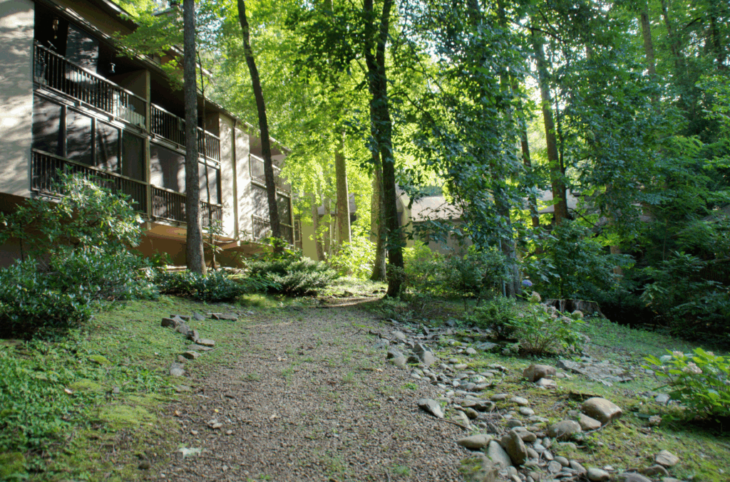 Back of 1235 Ski Mountain Road, highlighting the forest view of a Gatlinburg condo