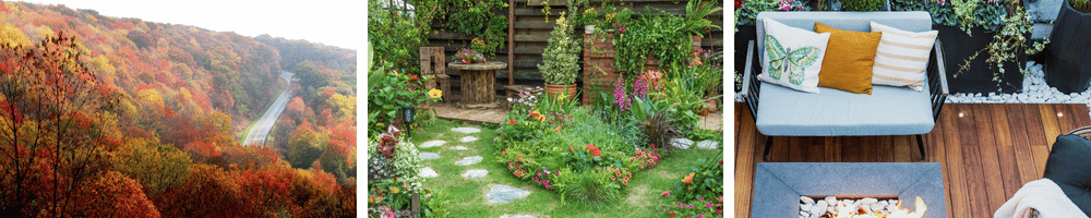 Header image for Top Landscaping Trends in the South (Fall 2025 Edition) 3 photos left to right, mountain road with leaves at peek fall foliage. yard with alcove and stone step way, backyard furniture made with wood.